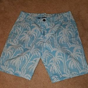Palm Tree Aeropostle Men's Shorts